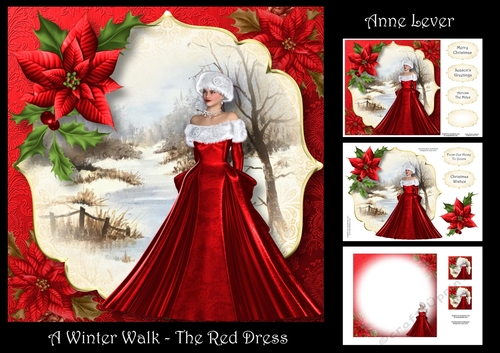 A Winter Walk - The Red Dress