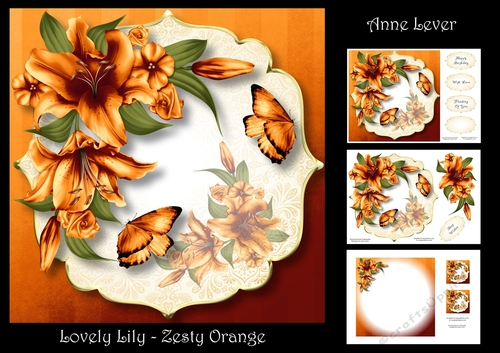 Lovely Lily - Zesty Orange