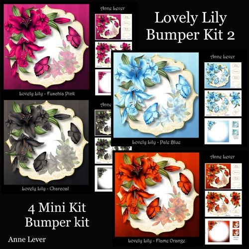 Lovely Lily Bumper Kit 2