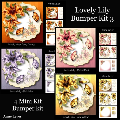 Lovely Lily Bumper Kit 3