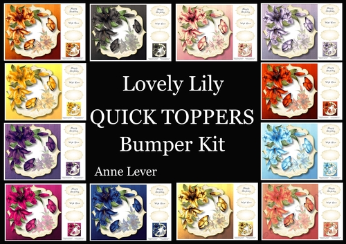 Lovely Lily QUICK TOPPER Bumper Kit