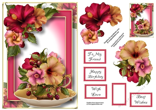 Teacup, Saucer & Flowers - Hibiscus A5