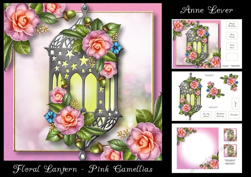Floral Lantern - Pink Camellias