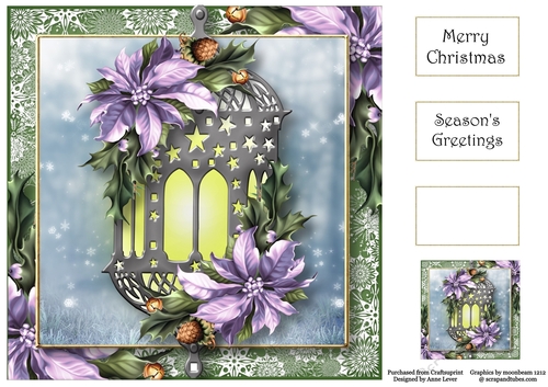 The Poinsettia Lantern - Lilac 8x8