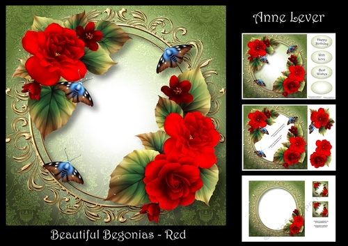 Beautiful begonias - Red
