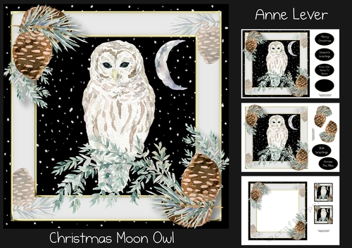Christmas Moon Owl