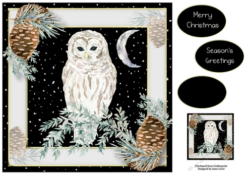 Christmas Moon Owl 8x8