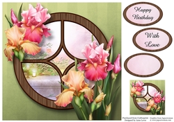 The Circular Window - Blush Iris 8x8