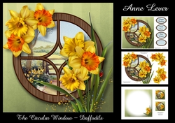 The Circular Window - Daffodils