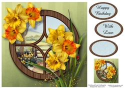 The Circular Window - Daffodils 8x8