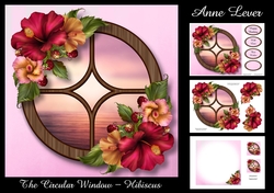 The Circular Window - Hibiscus