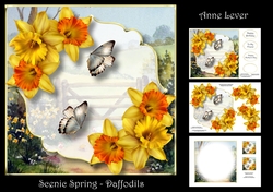 Scenic Spring - Daffodils