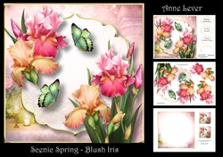 Scenic Spring - Blush Iris