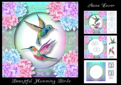 Beautiful Humming Birds