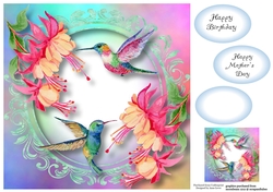 Colourful Humming Birds 8x8