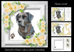Beautiful Black Lab & White Camellias