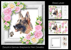 Beautiful German Shepherd & Pink Camellias