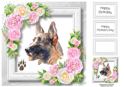 Beautiful German Shepherd & Pink Camellias 8x8