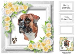 Beautiful Boxer & White Camellias 8x8