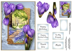 A Portal Into Spring - Crocus A5