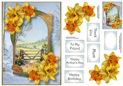 A Portal Into Spring - Daffodils A5