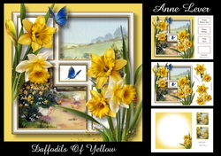 Daffodils Of Yellow
