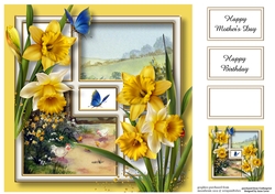 Daffodils Of Yellow 8x8