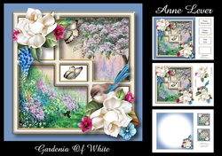 Gardenia Of White