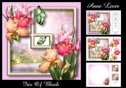 Iris Of Blush