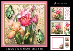 Square Gilded Frame - Blush Iris