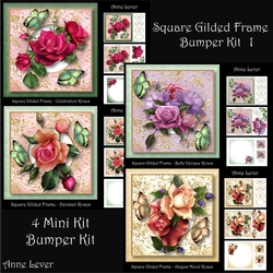Square Gilded Frame Bumper Kit 1