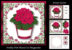 Pretty Pot Plant In Magenta