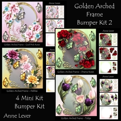 Golden Arched Frame Bumper Kit 2