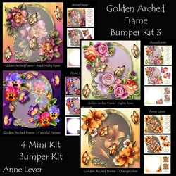 Golden Arched Frame Bumper Kit 3