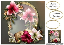 Golden Christmas Arch - Festive Amaryllis 8x8