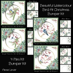 Beautiful Watercolour Bird At Christmas Bumper Kit