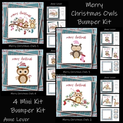Merry Christmas Owls Bumper Kit