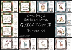 Owls, Stag & Quirky Christmas QUICK TOPPER Bumper Kit