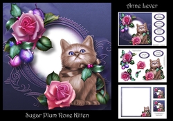 Sugar Plum Rose Kitten