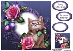 Sugar Plum Rose Kitten 8x8
