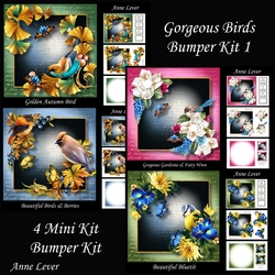 Gorgeous Birds Bumper Kit 1