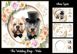 The Wedding Dogs - Male