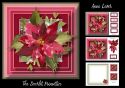 The Scarlet Poinsettia