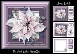 The Pale Lilac Poinsettia