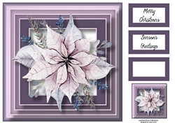 The Pale Lilac Poinsettia 8x8