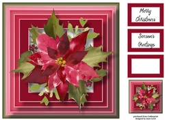 The Scarlet Poinsettia 8x8