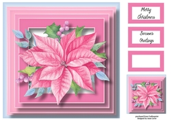 The Pink Poinsettia 8x8