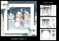 Winter Night 3