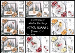 Watercolour Winter Birthday QUICK TOPPER Bumper Kit