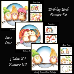 Birthday Birds Bumper Kit